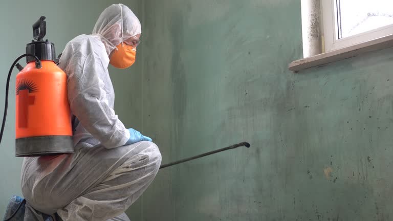 Why You Should Choose Our Mold Remediation Services in Arlington, GA